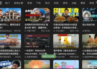 BT v0.9.35 开源的第三方哔哩哔哩TV客户端