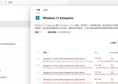 Windows 11 (business editions), version 25H2官方正式版