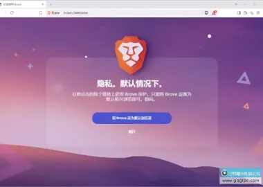 私密网页浏览器 Brave Browser v1.88.127 安装/便携版