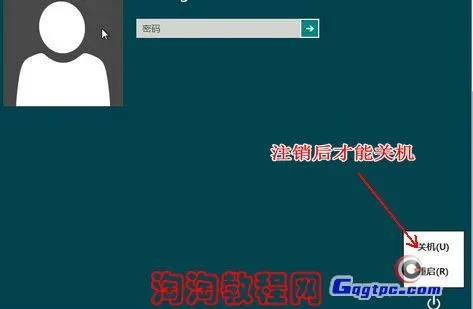 51_8_35f63c7e520855f.webp?20