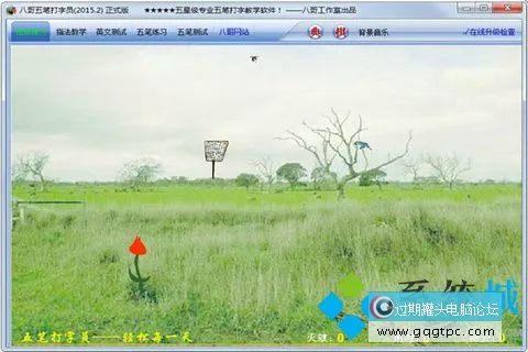 多款电脑打字软件推荐练习打字不用愁