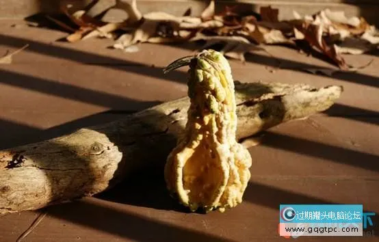 RAW和JPEG的优缺点是什么？（RAW和JPEG有何不同？）