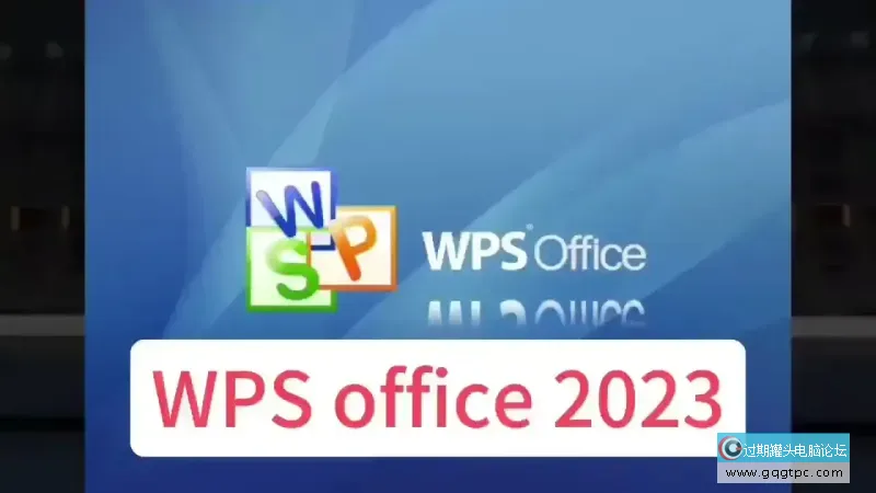 WPS Office 2023 专业增强版.webp