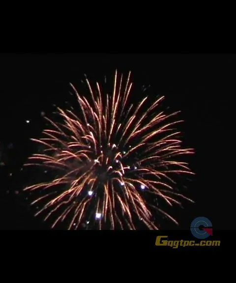 [视频素材].礼花.mpg_20110310_212122.webp