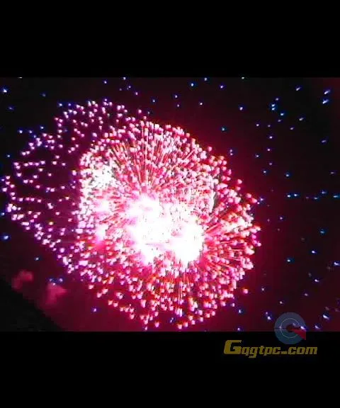 [视频素材].礼花.mpg_20110310_212041.webp