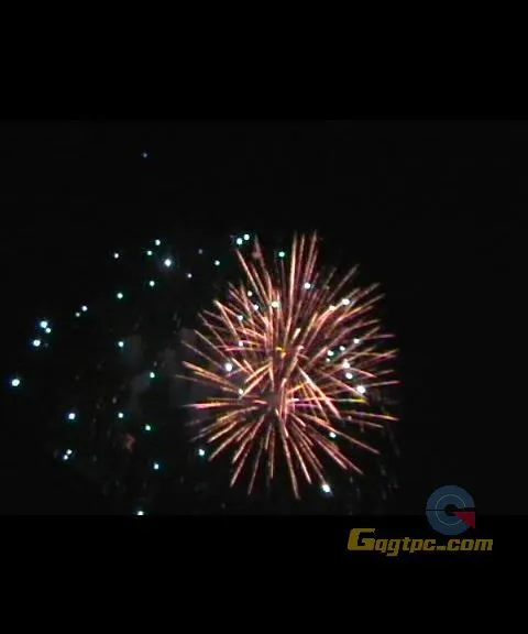 [视频素材].礼花.mpg_20110310_212109.webp